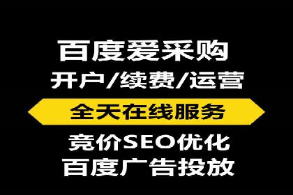 竞价广告在XX行业的成功应用案例